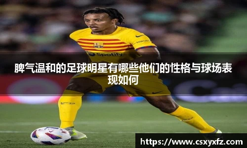 脾气温和的足球明星有哪些他们的性格与球场表现如何